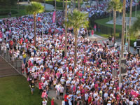 Susan G. Komen Race For The Cure, Orlando, Sunday, October 21, 2012