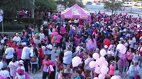 Making Strides Against Breast Cancer, Tampa, October 24, 2015