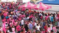 Making Strides Against Breast Cancer, Amolie Arena, Tampa